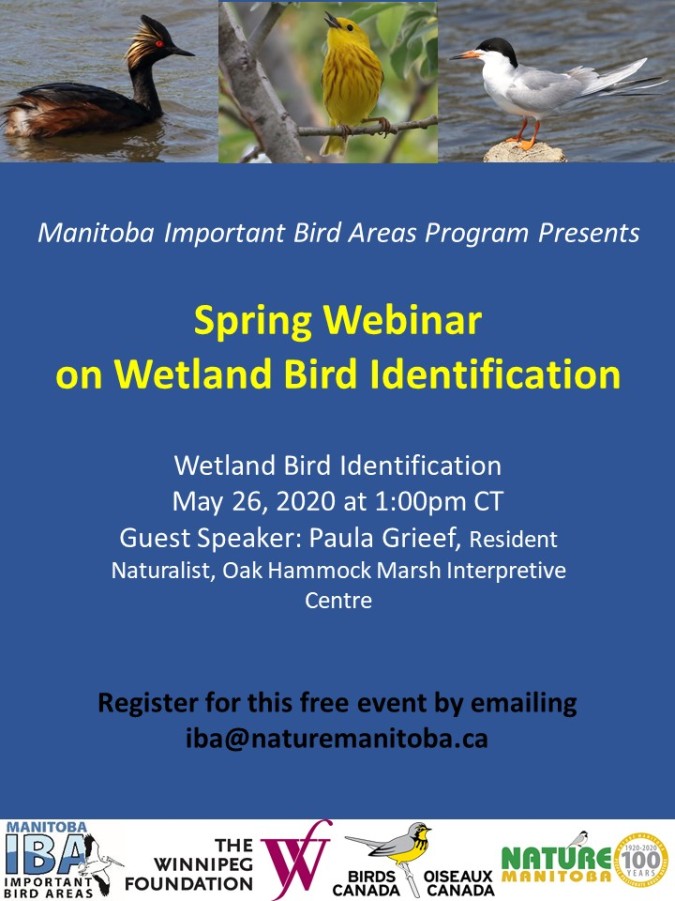 IBA Manitoba Wetlands Poster